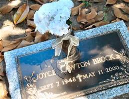 Joyce Lawton Brock