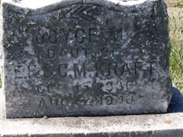 Joyce M. Kraft