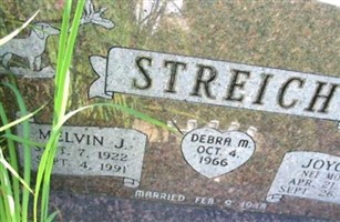 Joyce M Morrow Streich Joyce M Morrow Streich
