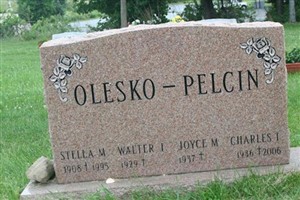 Joyce M Pelcin