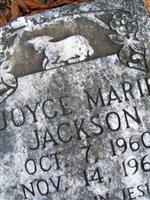 Joyce Marie Jackson