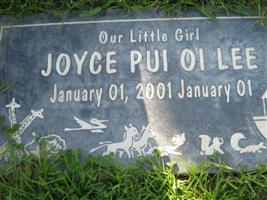 Joyce Pui-Oi Lee
