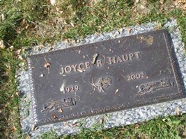 Joyce R Haupt