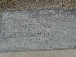 Joyce Topping