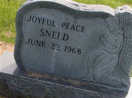 Joyful Peace Sneed Joyful Peace Sneed