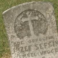 Jozef Sefcik Jozef Sefcik