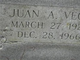 Juan A Vega