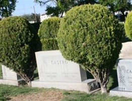 Juan C Castro, Jr