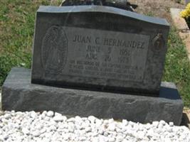 Juan C Hernandez