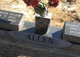 Juanita Elam Allen