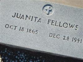 Juanita Gonzales Fellows