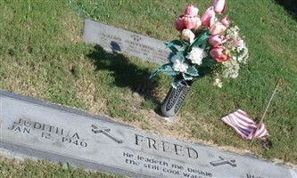 Judith A Freed