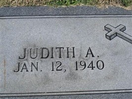 Judith A Freed