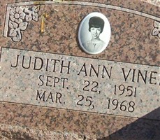 Judith Ann Vines