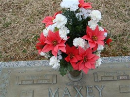 Judith Ayres Maxey Judith Ayres Maxey
