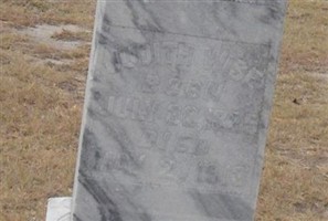 Judith Wise