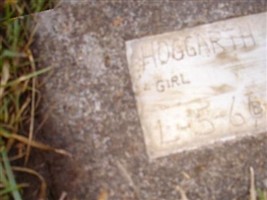 Judy Ann Hoggarth