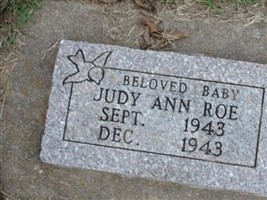 Judy Ann Roe