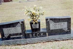 Judy Jill Beck