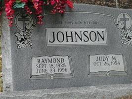 Judy M Johnson