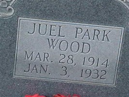 Juel Park Wood (2387814.jpg) Juel Park Wood (2387814.jpg)