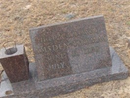 Jule Calloway Amsden Thomas