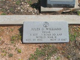 Jules G Williams Jules G Williams