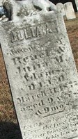Julia A. Adams Julia A. Adams