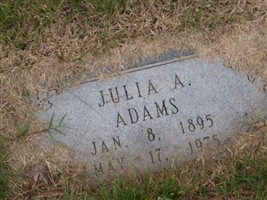 Julia A Adams Julia A Adams