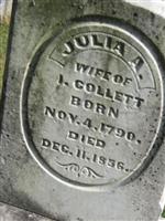 Julia A Collett