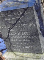 Julia A Gale Reed