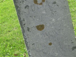 Julia A. Gardner