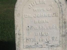 Julia A. Johnson