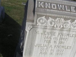 Julia A Knowles