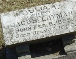 Julia A Layman Julia A Layman