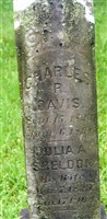 Julia A. Sheldon Davis