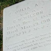Julia A Wilson
