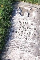 Julia A Wiltfong