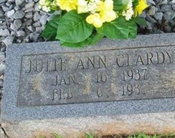 Julia Ann Clardy