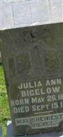 Julia Ann Cook Bigelow