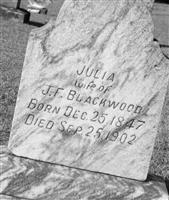 Julia Ann Cook Blackwood