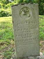 Julia Ann Shoop Julia Ann Shoop