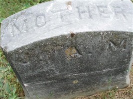 Julia Ann Whitney Manzer