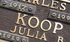 Julia B Koop