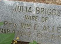 Julia Briggs Allen Julia Briggs Allen