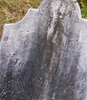 Julia Colton