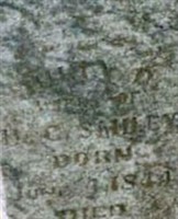 Julia Davis Ransom Smiley