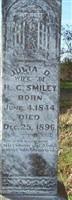 Julia Davis Ransom Smiley Julia Davis Ransom Smiley