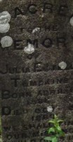 Julia Estella Tompkins Julia Estella Tompkins