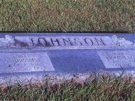 Julia Etta Johnson